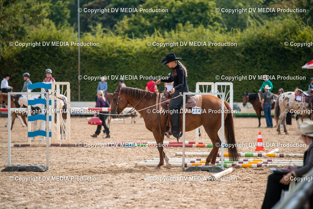 ZS2_7639 | dv-media-shop - Realisiert mit Pictrs.com