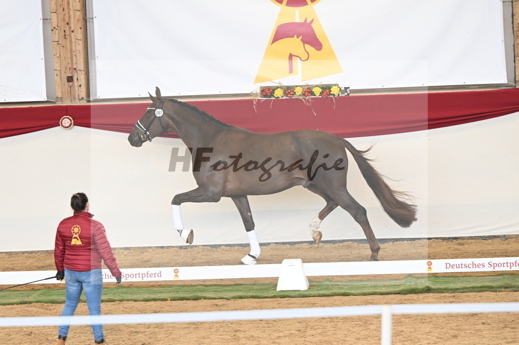 Kat.-Nr. 87 v. Vitalis_Kühnle_3261279 | hf-fotografie - Realizzato con Pictrs.com