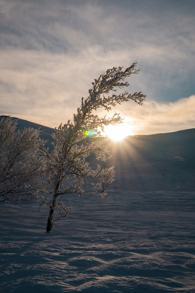 Norwegen Winter | freigereist - Realisiert mit Pictrs.com