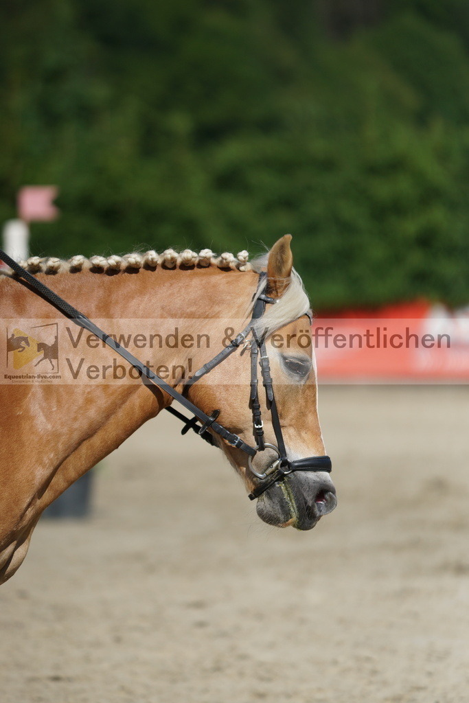 DSC06112 | equestrian-live-com