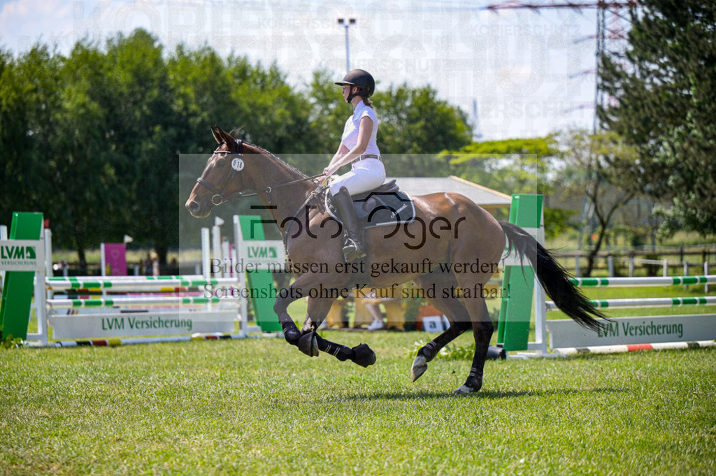 Reitturnier Voxtrup | Entdecke hochwertige Reitturnierfotos von Foto Oger. Professionell, emotional und authentisch – jetzt Lieblingsmomente im Shop bestellen.Deutschlandweite Turnierfotografie. - Realisiert mit Pictrs.com