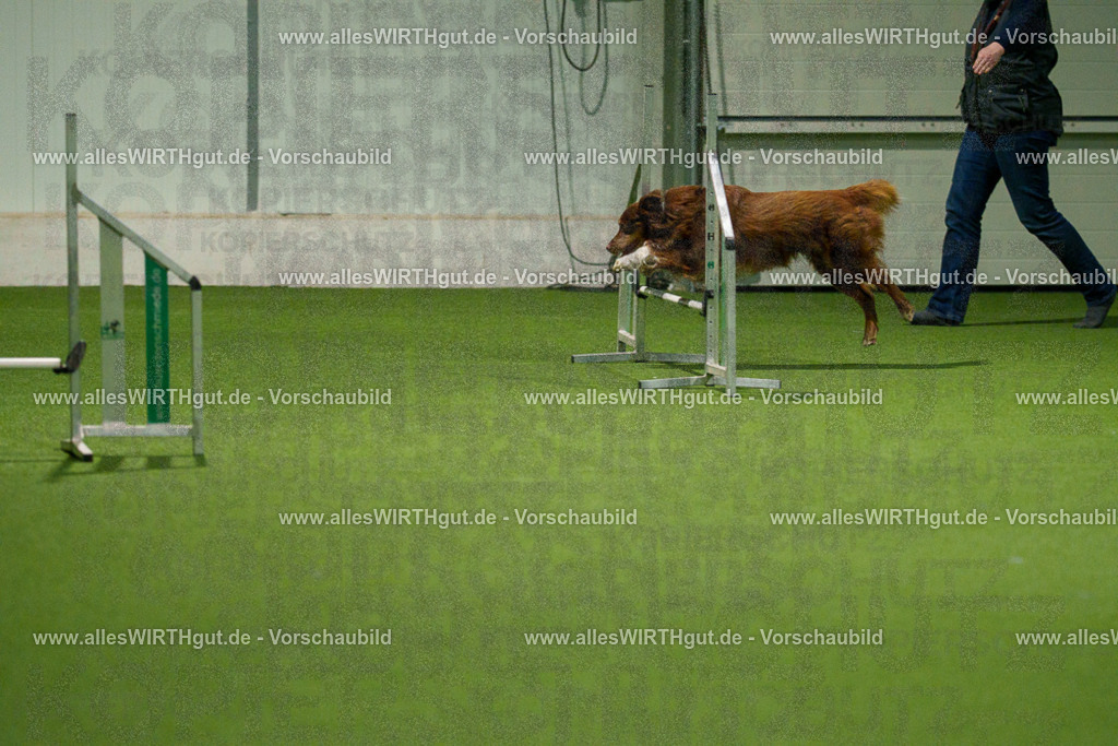 7R508945 | Professionelle Tierfotografie in Mönchengladbach von Daniel Wirth (allesWIRTHgut). Liebevolle & natürliche Bilder von Hunden & Katzen für unvergessliche Erinnerungen.