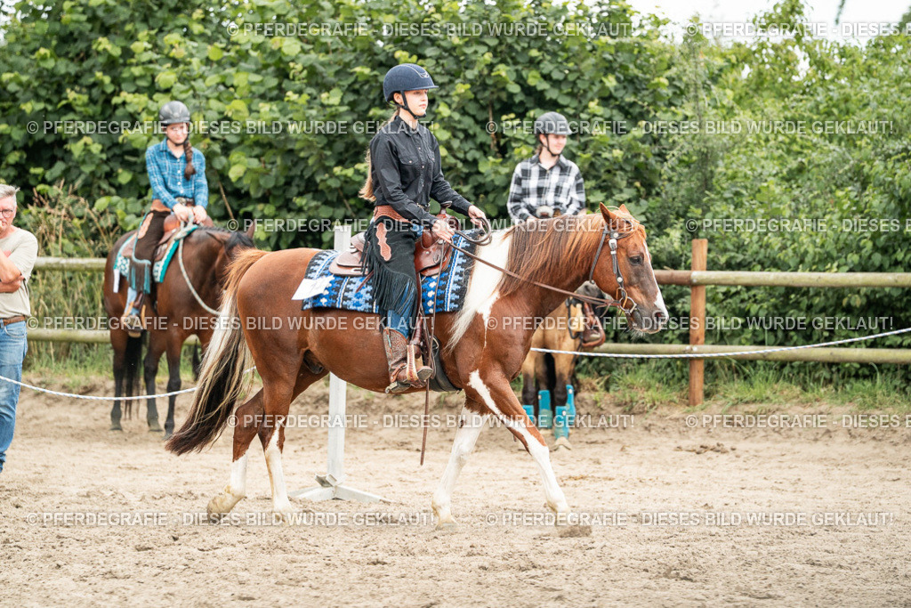 DSC01212 | Pferdegrafie