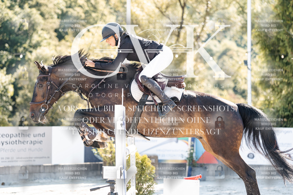 CK904525 | Turnierfotografie Pferdefotografie Trier Rheinland-Pfalz Pferdesport Reitsport Tierfotografie Sportfotografie Pferdevideo Pferdevideografie Equestrianvideography equestrianphotography  - Realisiert mit Pictrs.com