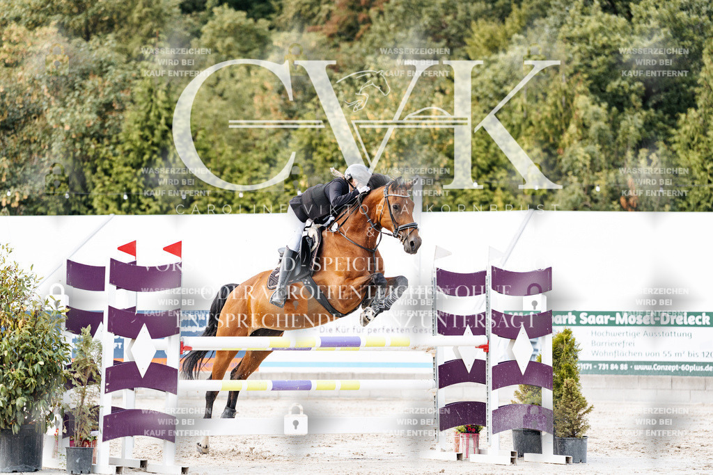 CK903922 | Turnierfotografie Pferdefotografie Trier Rheinland-Pfalz Pferdesport Reitsport Tierfotografie Sportfotografie Pferdevideo Pferdevideografie Equestrianvideography equestrianphotography  - Realisiert mit Pictrs.com