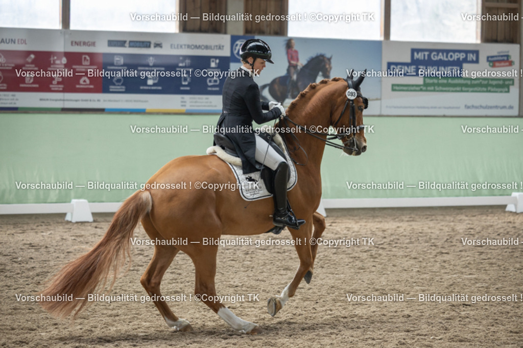 _D5A5083 | Emotionale Pferde- & People-Fotografie rund um Heidelberg, Leimen & Umgebung. Natürliche Fotos von Pferd, Mensch & Familie. Jetzt Termin sichern!