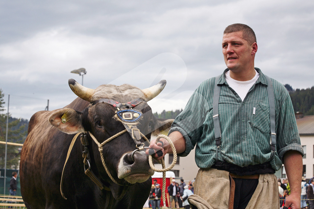 Schwyzer2019_IMG_8933 | Die Schwinger des Schwyzer Kantonalen Schwingerverbandes: Fotos, die Dynamik und Leidenschaft festhalten, sowie emotionale Momente aus dem traditionellen Schwingsport zeigen. - Realisiert mit Pictrs.com