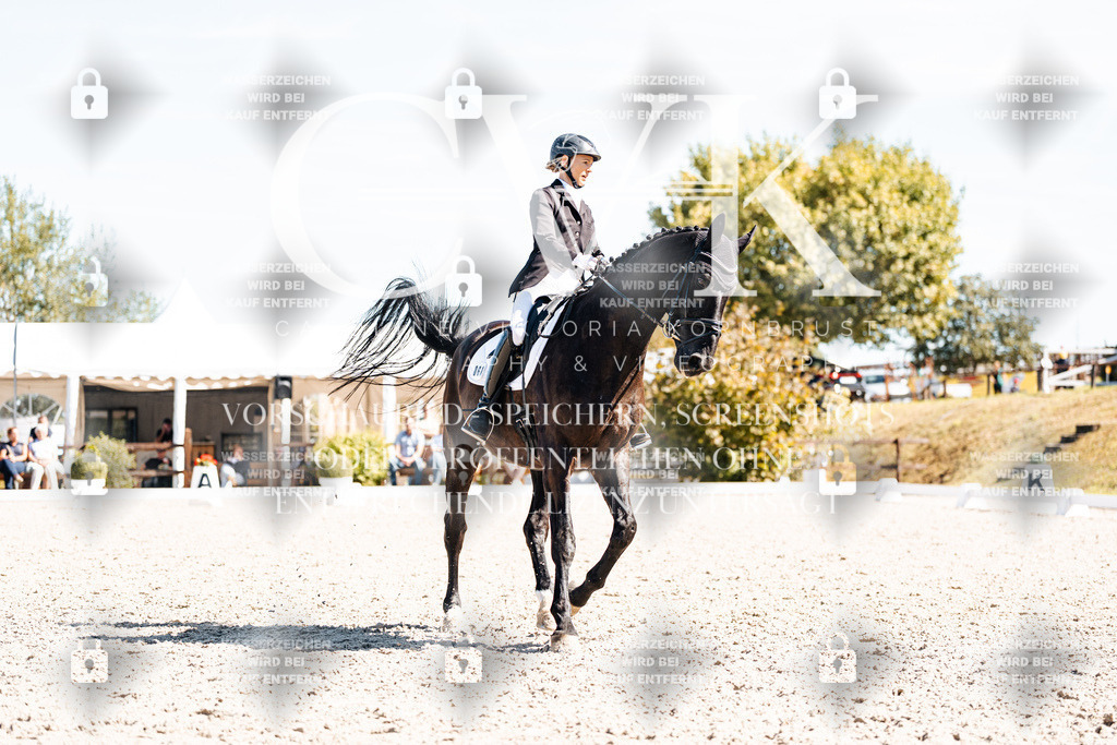 CK909859 | Turnierfotografie Pferdefotografie Trier Rheinland-Pfalz Pferdesport Reitsport Tierfotografie Sportfotografie Pferdevideo Pferdevideografie Equestrianvideography equestrianphotography  - Realisiert mit Pictrs.com