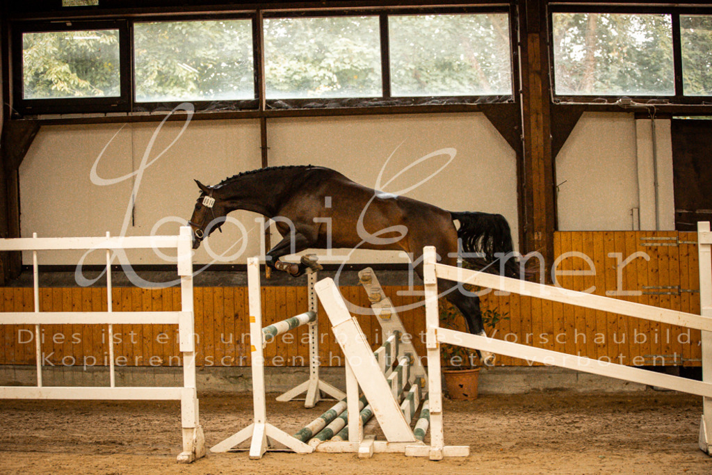 2FS_L00012 | Leoni Ertmer Photography - Realisiert mit Pictrs.com