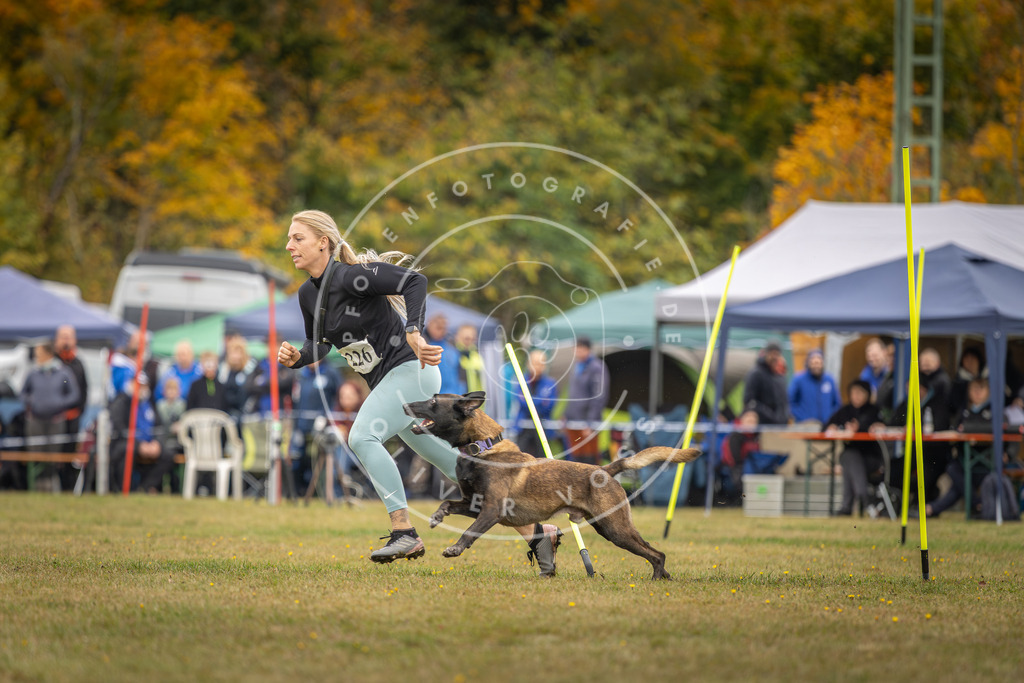 Pfotenfotografie_DV3A3968 | Hundefotografie, Tierfotograf, Pfotenfotografie, Fotoshooting Hund, Hunde Portrait, Hundesport, Hundeportraits, Heideshooting, Hunde, Sportfotograf, Hundefotograf, Turnierhundsport, THS,  - Realisiert mit Pictrs.com
