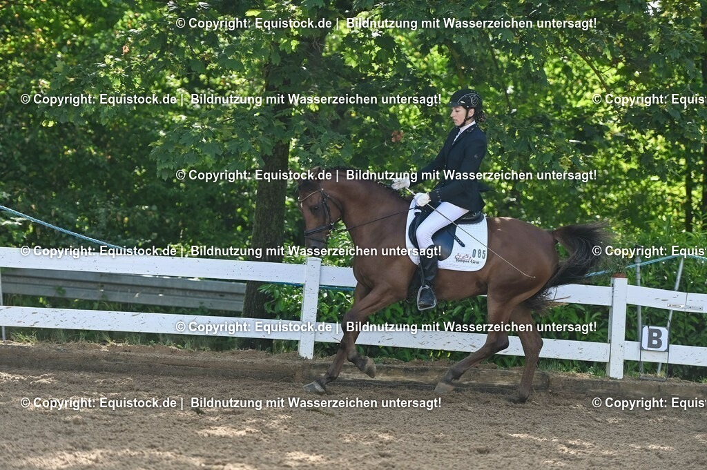 20230716_04_Dressurreiterprüfung Kl.A_0181 | equistock