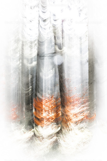 Wintersturm | Wintersturm im Laubwald - Realisiert mit Pictrs.com
