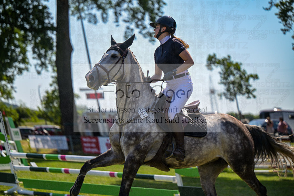 Reitturnier Voxtrup | Entdecke hochwertige Reitturnierfotos von Foto Oger. Professionell, emotional und authentisch – jetzt Lieblingsmomente im Shop bestellen.Deutschlandweite Turnierfotografie. - Realisiert mit Pictrs.com