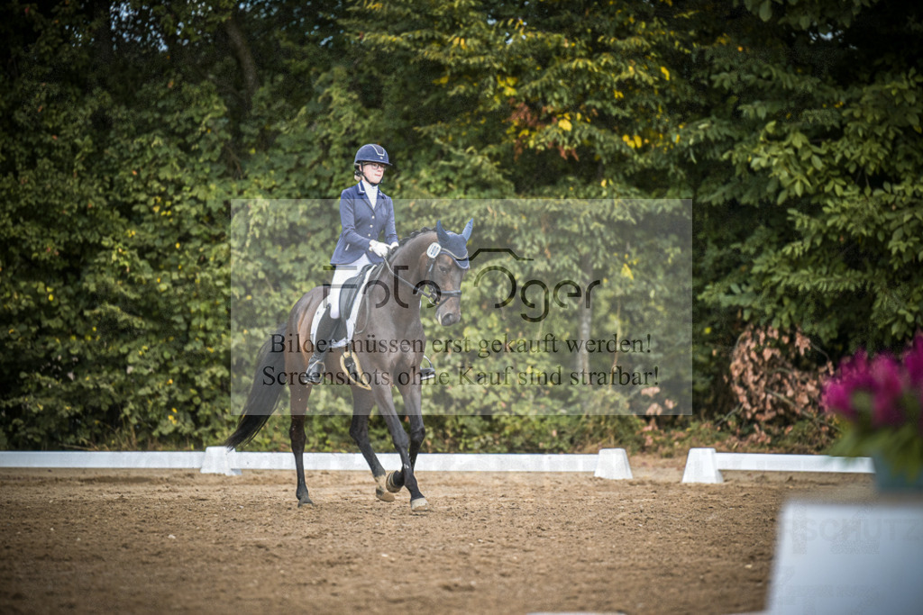 DOS_4597 | Entdecke hochwertige Reitturnierfotos von Foto Oger. Professionell, emotional und authentisch – jetzt Lieblingsmomente im Shop bestellen.Deutschlandweite Turnierfotografie. - Realisiert mit Pictrs.com