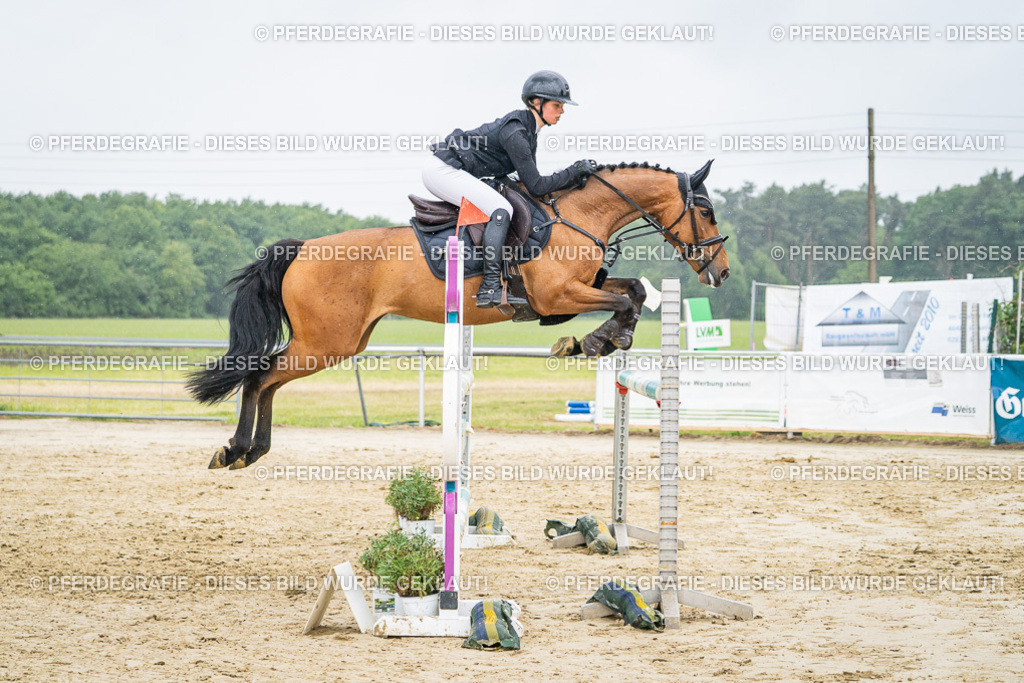 DSC02966 | Pferdegrafie