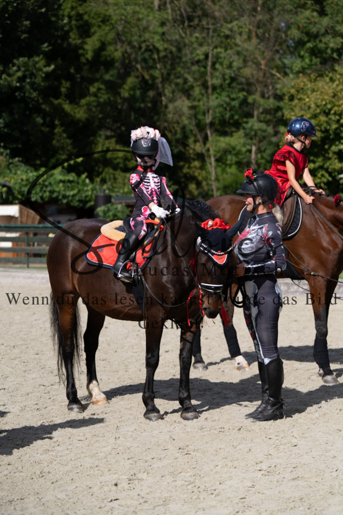 A7V07563 | Pferdefotograf