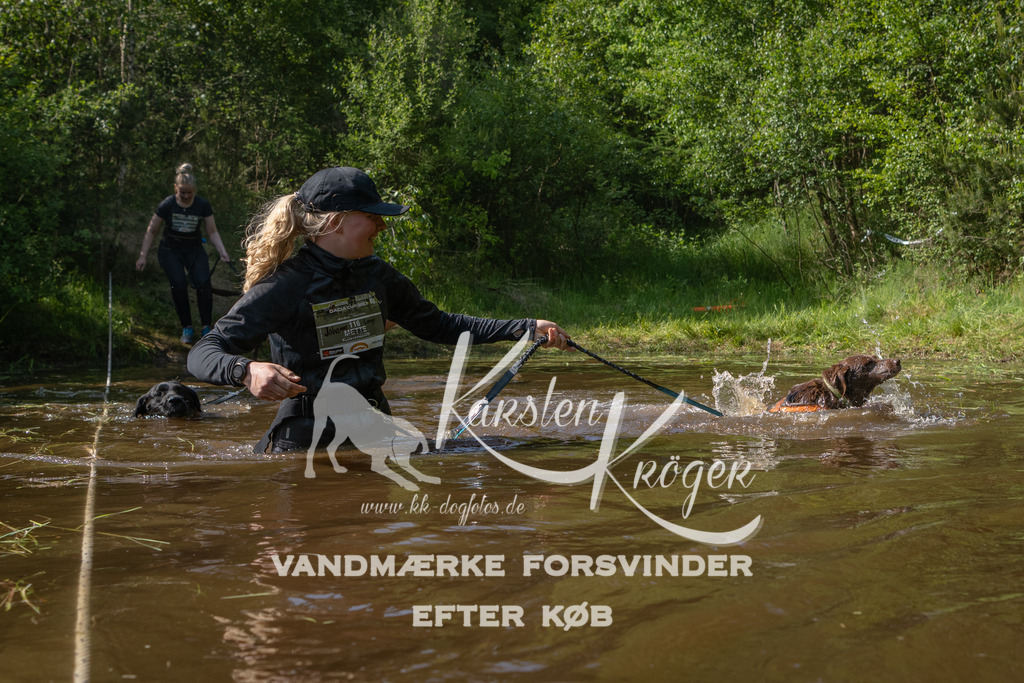 1625DKK990252 | kk-dogfotos