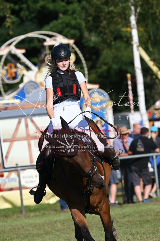 DSC_5165 | Pferde- und Turnierfotografie in Westsachsen. Pferdeportraits, Auftragszeichnungen und intuitive Kunst.