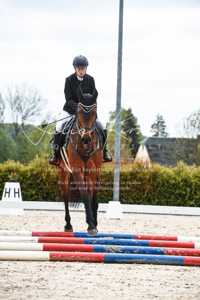 20230518_JK-Röhrsdorf-10-327 | Pferde- und Turnierfotografie in Westsachsen. Pferdeportraits, Auftragszeichnungen und intuitive Kunst.