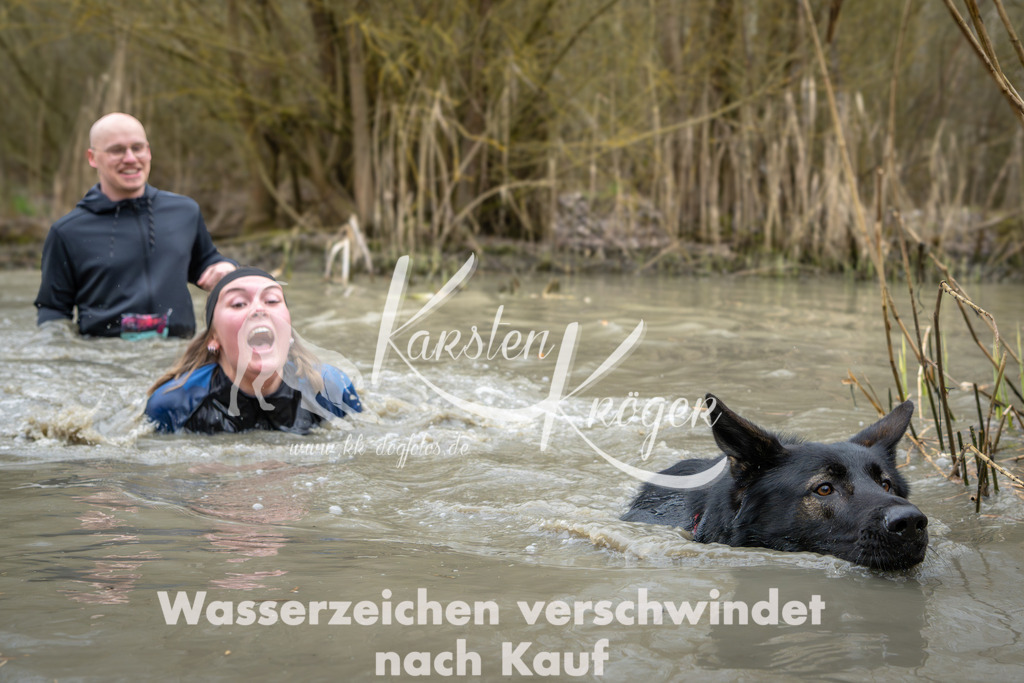 1403_ZZ95796 | kk-dogfotos