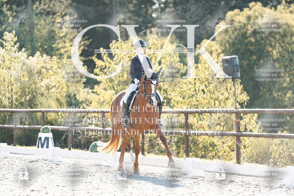 CK906828 | Turnierfotografie Pferdefotografie Trier Rheinland-Pfalz Pferdesport Reitsport Tierfotografie Sportfotografie Pferdevideo Pferdevideografie Equestrianvideography equestrianphotography  - Realisiert mit Pictrs.com