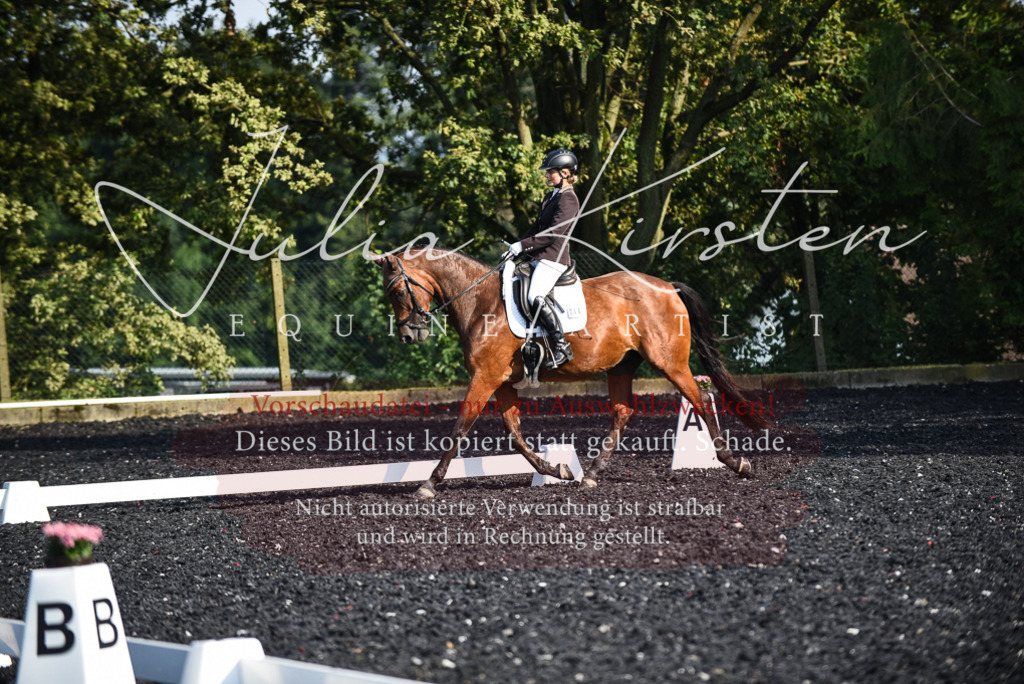DSC_3226 | Pferde- und Turnierfotografie in Westsachsen. Pferdeportraits, Auftragszeichnungen und intuitive Kunst.