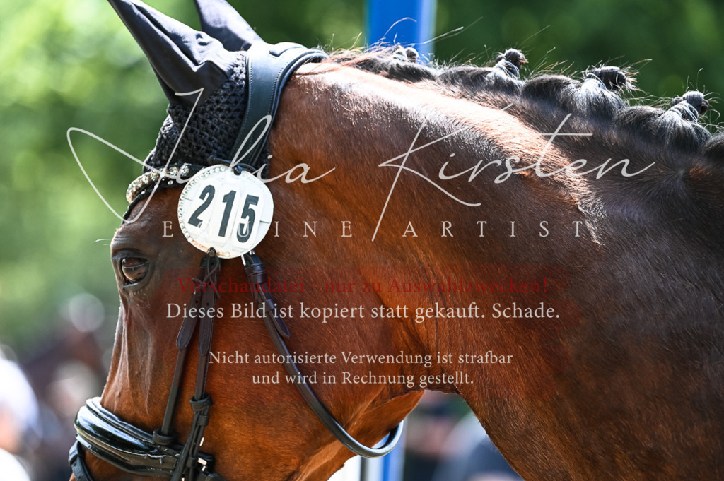 DSC_9445 | Pferde- und Turnierfotografie in Westsachsen. Pferdeportraits, Auftragszeichnungen und intuitive Kunst.