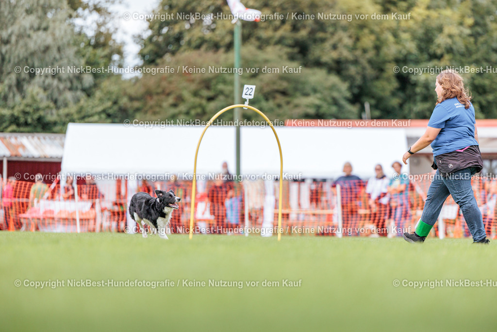 BSP Hoopers-H3-2026-Nickbest-Hundefotografie-TuS Komet Arsten e.V.-3004 | Dein Hund! Dein Moment! Deine Erinnerungen! Hundefotografie in Bremen Blumenthal. Ich fange die besonderen Momente deines Vierbeiners ein – ob Indoor mit Blitzanlage oder in der freien Natur. Sicher dir dein Moment und dein Termin für eure Erinnerungen.