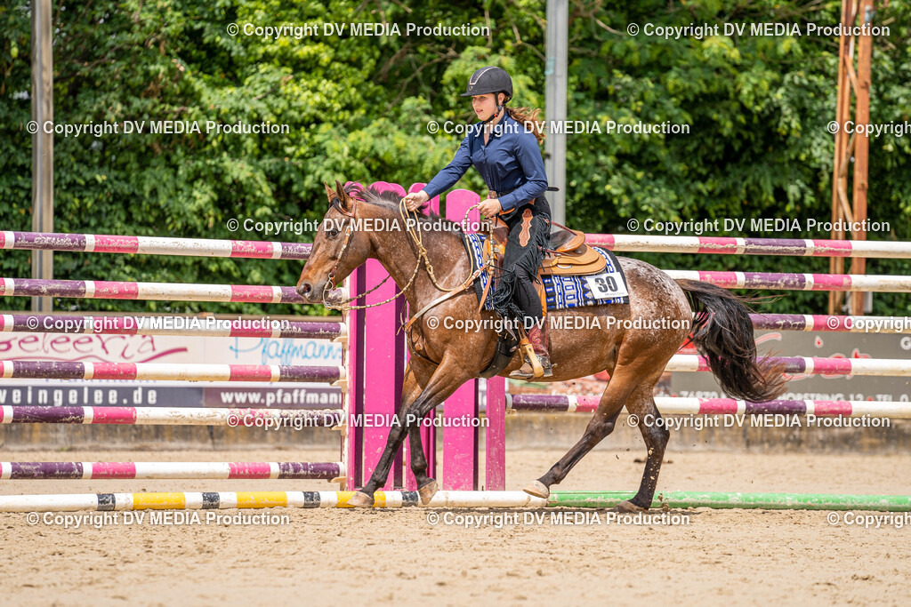 Zeiskam Tag 1-1107 | dv-media-shop - Realisiert mit Pictrs.com