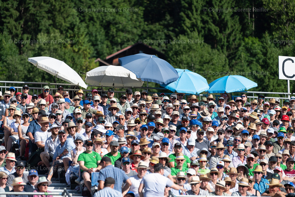 Schwingen -  Schwarzseeschwinget 2025 | Schwarzsee, 22.6.25, Schwingen - Schwarzseeschwinget.