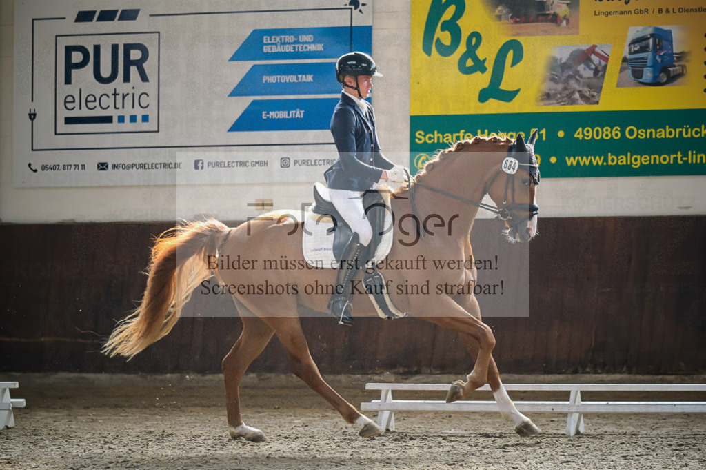 Reitturnier Voxtrup | Entdecke hochwertige Reitturnierfotos von Foto Oger. Professionell, emotional und authentisch – jetzt Lieblingsmomente im Shop bestellen.Deutschlandweite Turnierfotografie. - Realisiert mit Pictrs.com