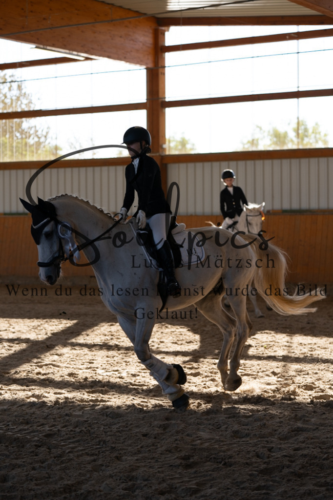 A7V01835 | Turnier/Reitfotograf
