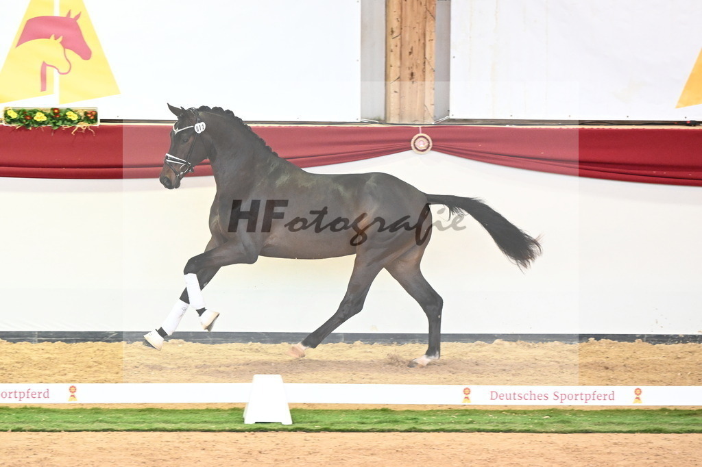 Kat.-Nr. 72 v. Va Bene_Bergmann_2240705 | hf-fotografie - Realisiert mit Pictrs.com