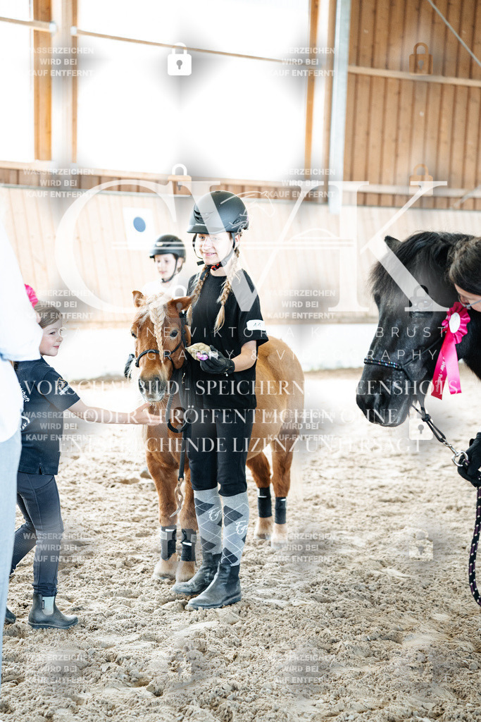 CK703232 | Turnierfotografie Pferdefotografie Trier Rheinland-Pfalz Pferdesport Reitsport Tierfotografie Sportfotografie Pferdevideo Pferdevideografie Equestrianvideography equestrianphotography  - Realized with Pictrs.com