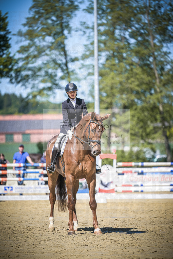 DOS_6617 | Entdecke hochwertige Reitturnierfotos von Foto Oger. Professionell, emotional und authentisch – jetzt Lieblingsmomente im Shop bestellen.Deutschlandweite Turnierfotografie. - Realisiert mit Pictrs.com