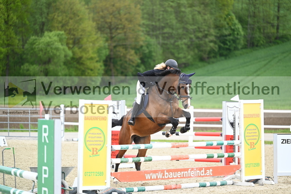 DSC_0708 | equestrian-live-com