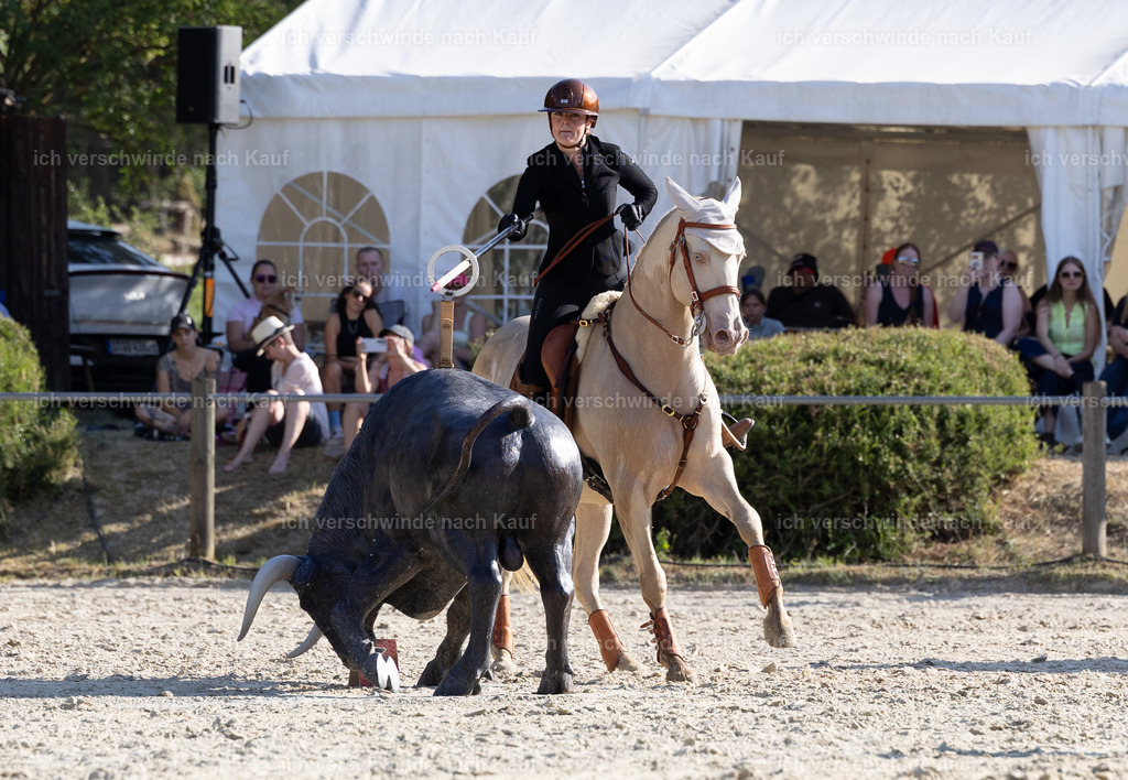WS_SPEED_65_KerstinBernhardt-4 | working equitationturnier fotograf videograf stoibphotography marixx film working equitation deutschland reitsport turnierfotografie eventfotografie equestrian events