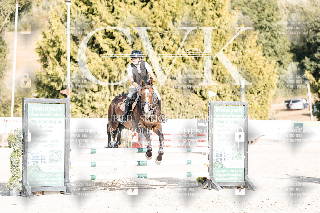 CK909503 | Turnierfotografie Pferdefotografie Trier Rheinland-Pfalz Pferdesport Reitsport Tierfotografie Sportfotografie Pferdevideo Pferdevideografie Equestrianvideography equestrianphotography  - Realisiert mit Pictrs.com