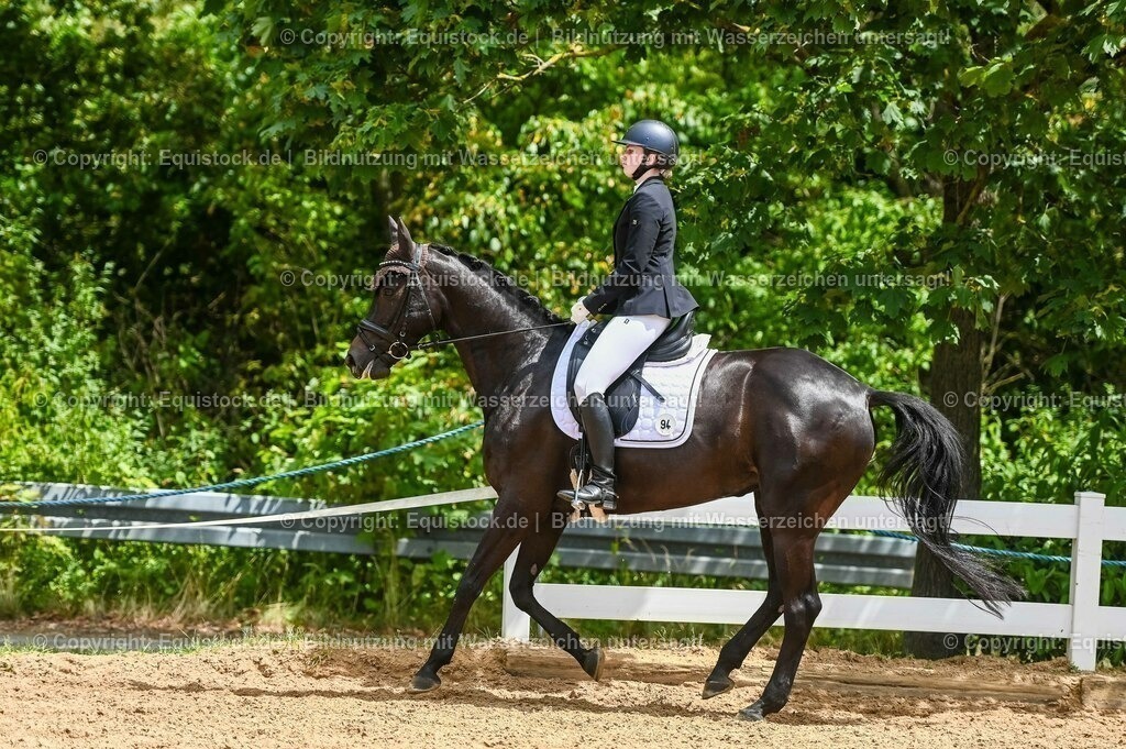 20230715_05_Dressurprüfung Kl.A++_0384 | equistock