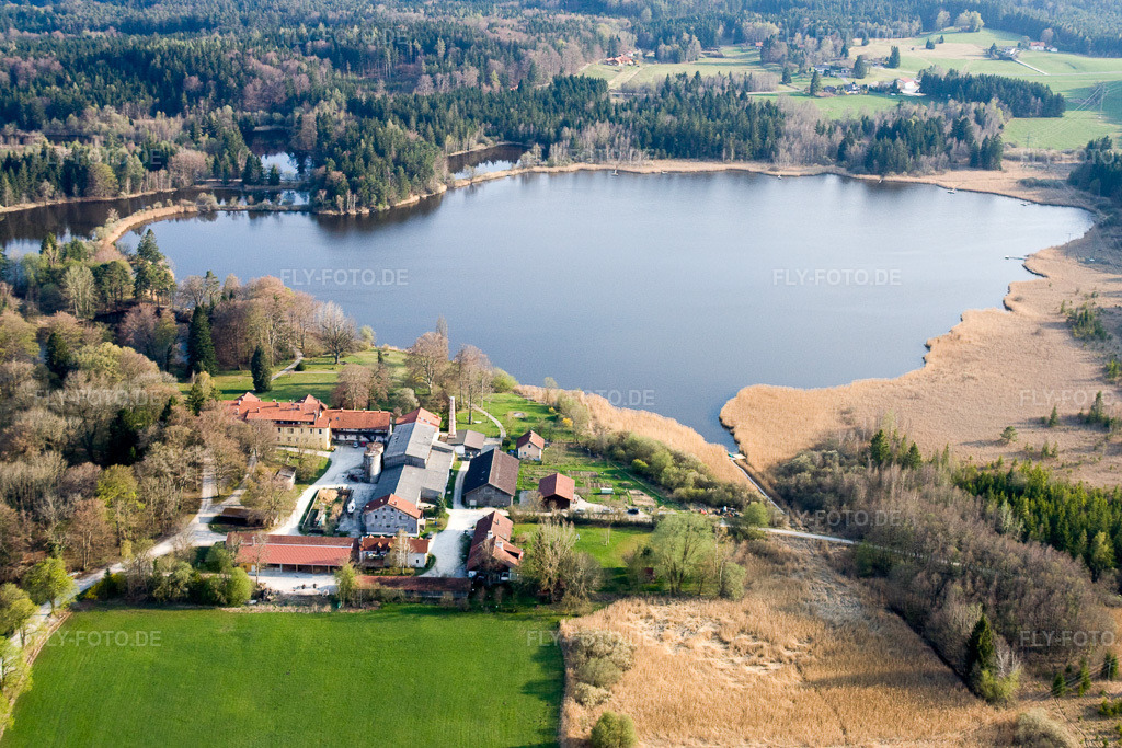 Luftbild: Uferbereiche am Seegebiet des Deixelfurter Weiher in Tutzing im Bundesland Bayern in Deutschland. Foto: IMG_17938.jpg vom 15.04.2009 durch Werner Riehm/FLY-FOTO.de