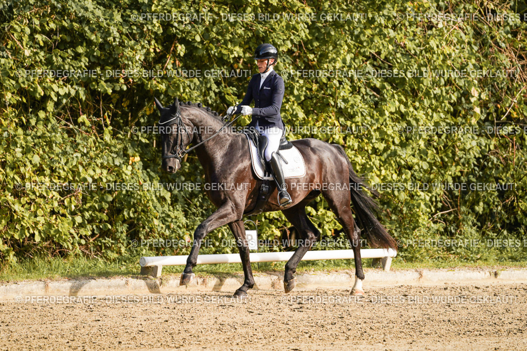 DSC04756 | Pferdegrafie