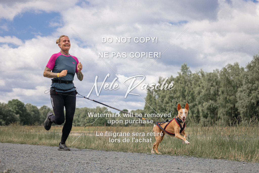 nelerasche_BuHu2026_SaCC1100-1200_179 | nelerasche