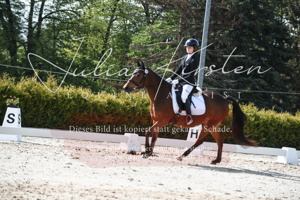 20230518_JK-Röhrsdorf-09-1416 | Pferde- und Turnierfotografie in Westsachsen. Pferdeportraits, Auftragszeichnungen und intuitive Kunst.