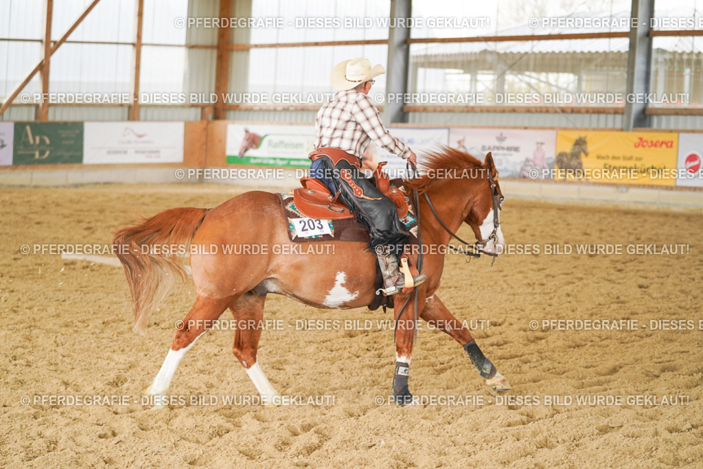 DSC04103 | Pferdegrafie