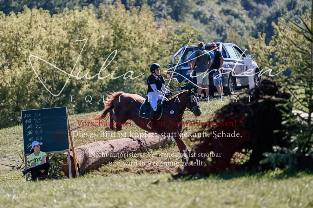 DSC_3144 | Pferde- und Turnierfotografie in Westsachsen. Pferdeportraits, Auftragszeichnungen und intuitive Kunst.