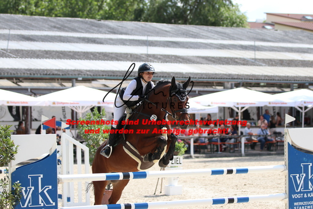 IMG_0395 | lmwpictures - Realisiert mit Pictrs.com