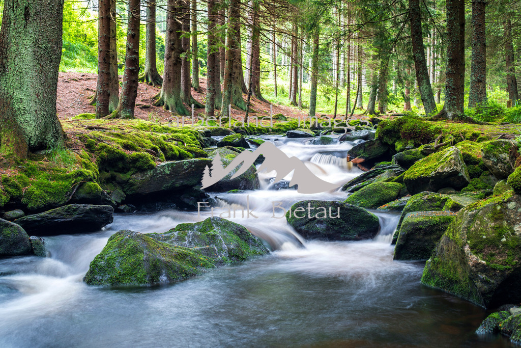 _Z5A9947 | das Wasser im Bayerischen und Böhmerwald kann weitgehend ungestört seinen Lauf nehmen