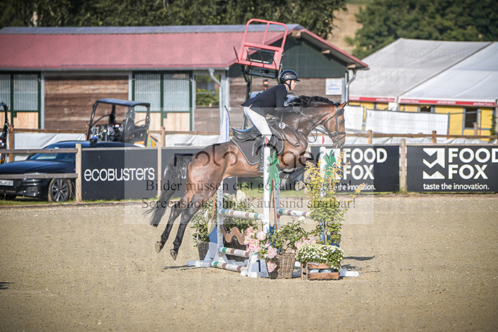 DOS_9065 | Entdecke hochwertige Reitturnierfotos von Foto Oger. Professionell, emotional und authentisch – jetzt Lieblingsmomente im Shop bestellen.Deutschlandweite Turnierfotografie. - Realisiert mit Pictrs.com