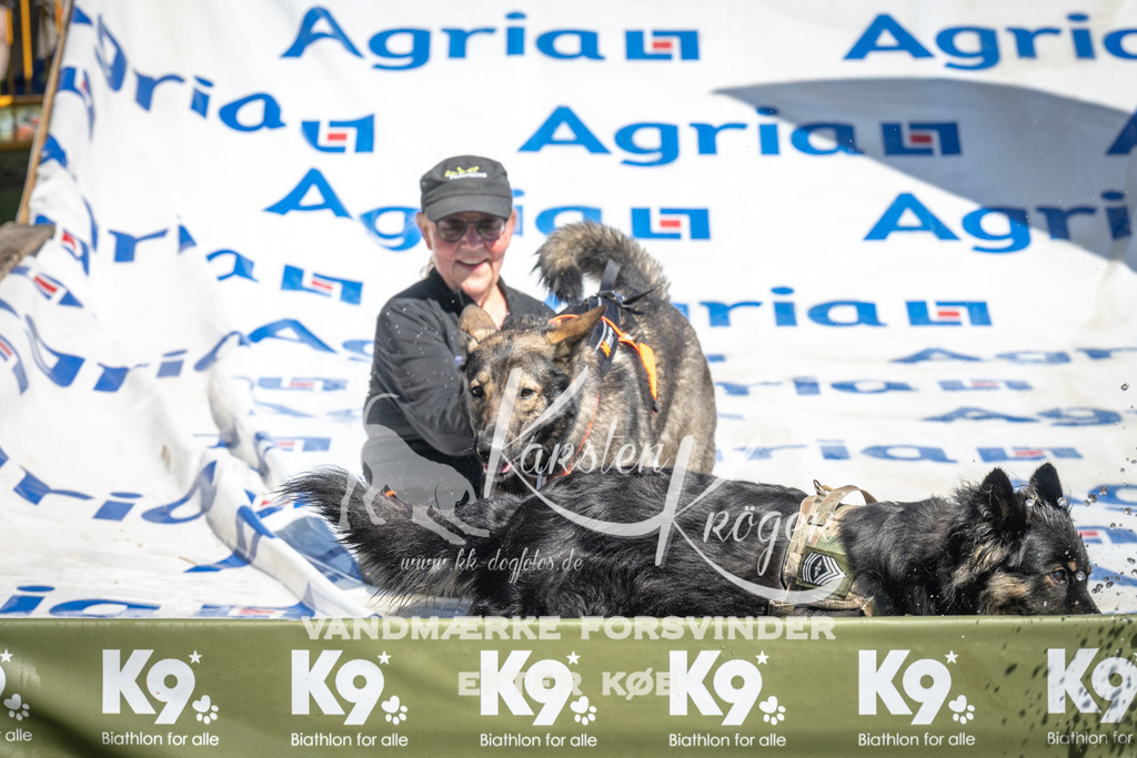 1312_ZZ98926 | kk-dogfotos