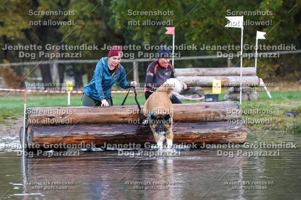 Dog Paparazzi - Strongdog 10-25-6503 | Dog Paparazzi Jeanette Grottendiek Fotografie & Videografie - Realisiert mit Pictrs.com